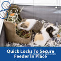 Alimentador de alimentos com fechaduras rápidas para coelhos de estimação